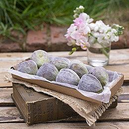 欧服NSO试玩同乐会免费游玩 《妖怪捉迷藏！》